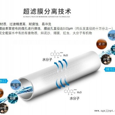 UF超濾膜  PVDF超濾膜，PVDF材質(zhì)膜絲  柱式超濾膜，替代2860