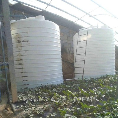 武漢10噸塑膠水塔pe水箱儲(chǔ)罐 無土栽培草莓灌溉蓄水容器滾塑水箱