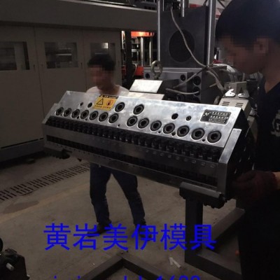 片材PP擠出成型模具 精密片材擠出模具，臺(tái)州黃巖PMMA片材模具，
