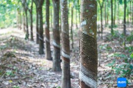 中國熱科院牽頭成果獲國家科學(xué)技術(shù)進步獎二等獎